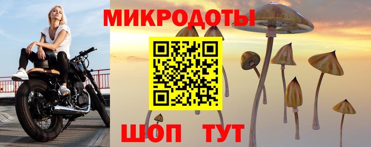 Галлюциногенные грибы Psilocybine cubensis  Вход с VPN  наркошоп  Галлюциногенные грибы Psilocybine cubensis  Медногорск 